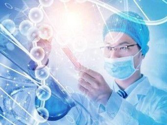 深度剖析：4cc囊胚移植成功率与囊胚质量的关系