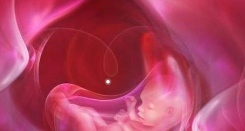 详细解读东阳市做长方案试管婴儿费用，长方案和短方案成功率有差别吗？