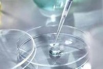 浙江省人民医院做三代试管成功率如何？一文读懂需要花多少钱