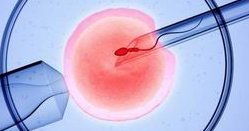 试管婴儿宫寒的危害（试管婴儿宫寒的危害有哪些）